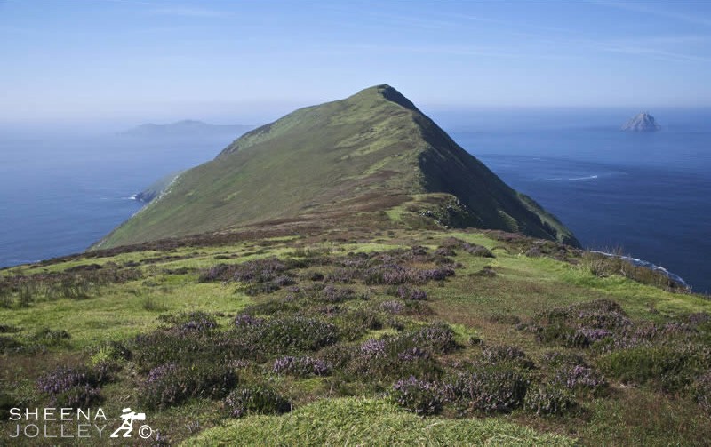 Great Blasket.jpg - Great Blasket